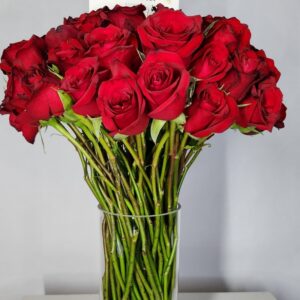 Red Roses In Vase
